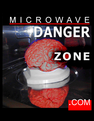 Microwave Danger Zone