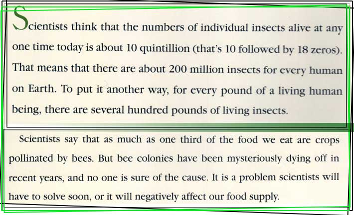insects dominate life on this planety and pollinate  plant life
