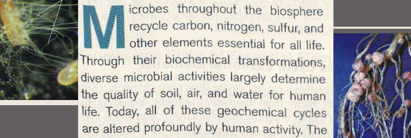 microbes are crucial to the earth's ecosystems